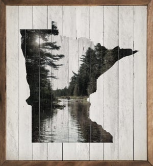 Weathered Minnesota State Lake